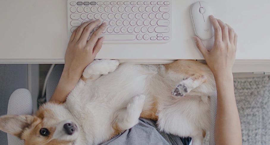 920-010408 K380 for Mac Multi-Device Bluetooth Keyboard Rose