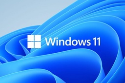 Windows 11 Home 64Bit Eng OEM KW9-00632
