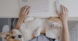 920-010408 K380 for Mac Multi-Device Bluetooth Keyboard Rose